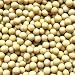 極小粒 スズマル大豆 北海道産 1等品 (1kg) 松葉屋 チャック付き袋