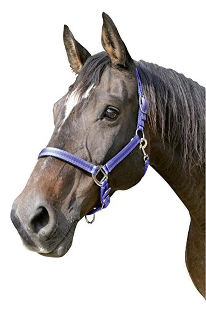 Kerbl Bleu Halter Pony 2 Settings Mustang