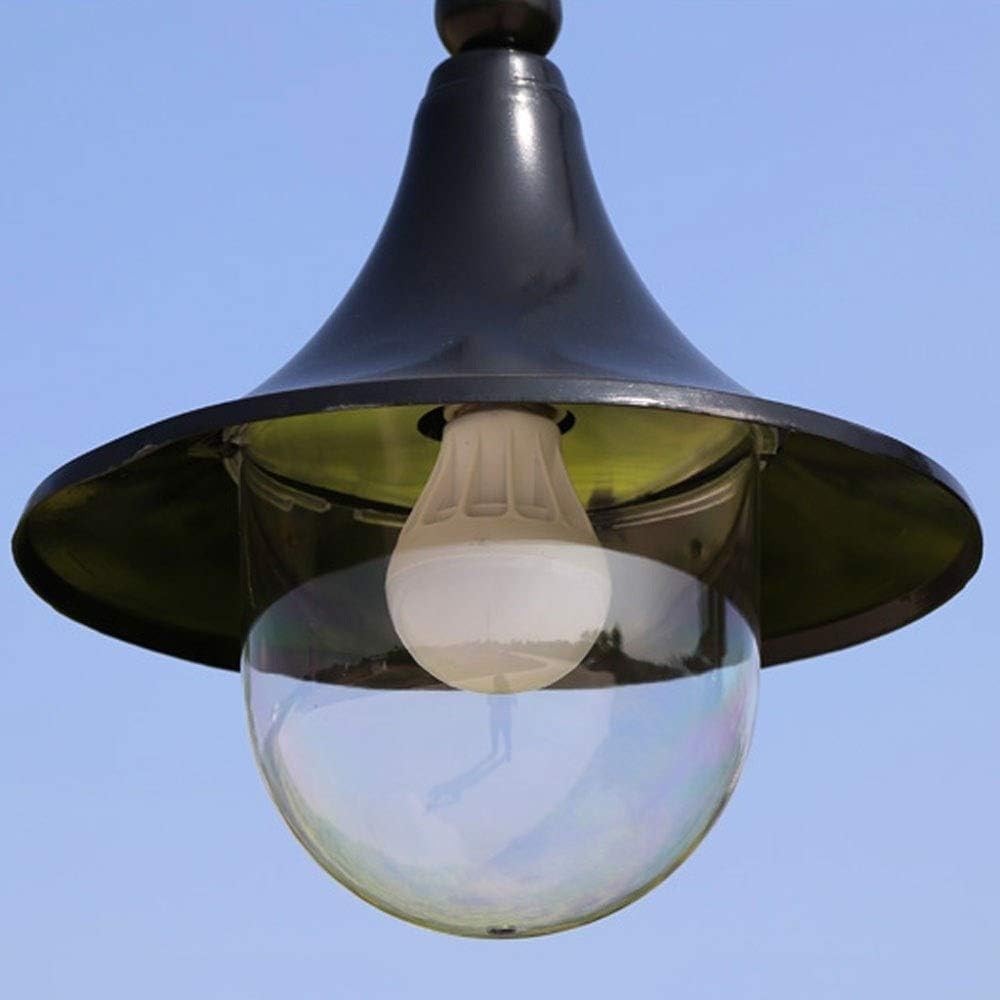 ブロメリア・エアープランツ Deuterocohnia sp. Tuchman ex. Bill Baker Deuterocohnia sp. Tuchman ex. Bill Baker Purple-backed