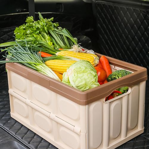 Coffre de rangement polyvalent et robuste pour accessoires auto - 3