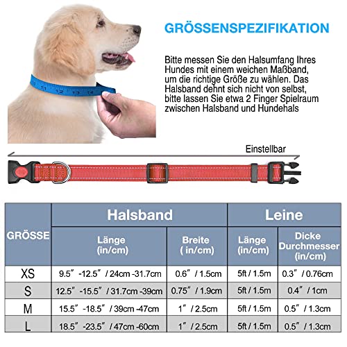 haapaw reflektierendes Hundehalsband gepolstert mit weichem Neopren atmungsaktiv einstellbar Nylon Hundehalsbänder für kleine mittlere große Hunde