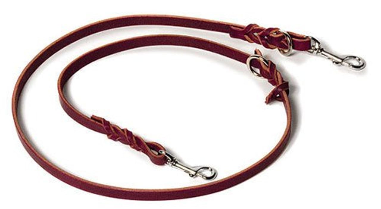 Ray Allen Convertible Service Dog Leash, Latigo Leather, Hands-Free Dog Leash (5')