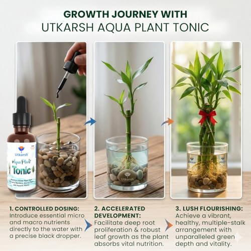 Image of Utkarsh Aqua Plant Tonic - 50 ml, Liquid Fertilizer for Plants Growing in Water | Premium Plant Food & Growth Booster for Lucky Bamboo, Aquatic and Money Plants, Pack of 1