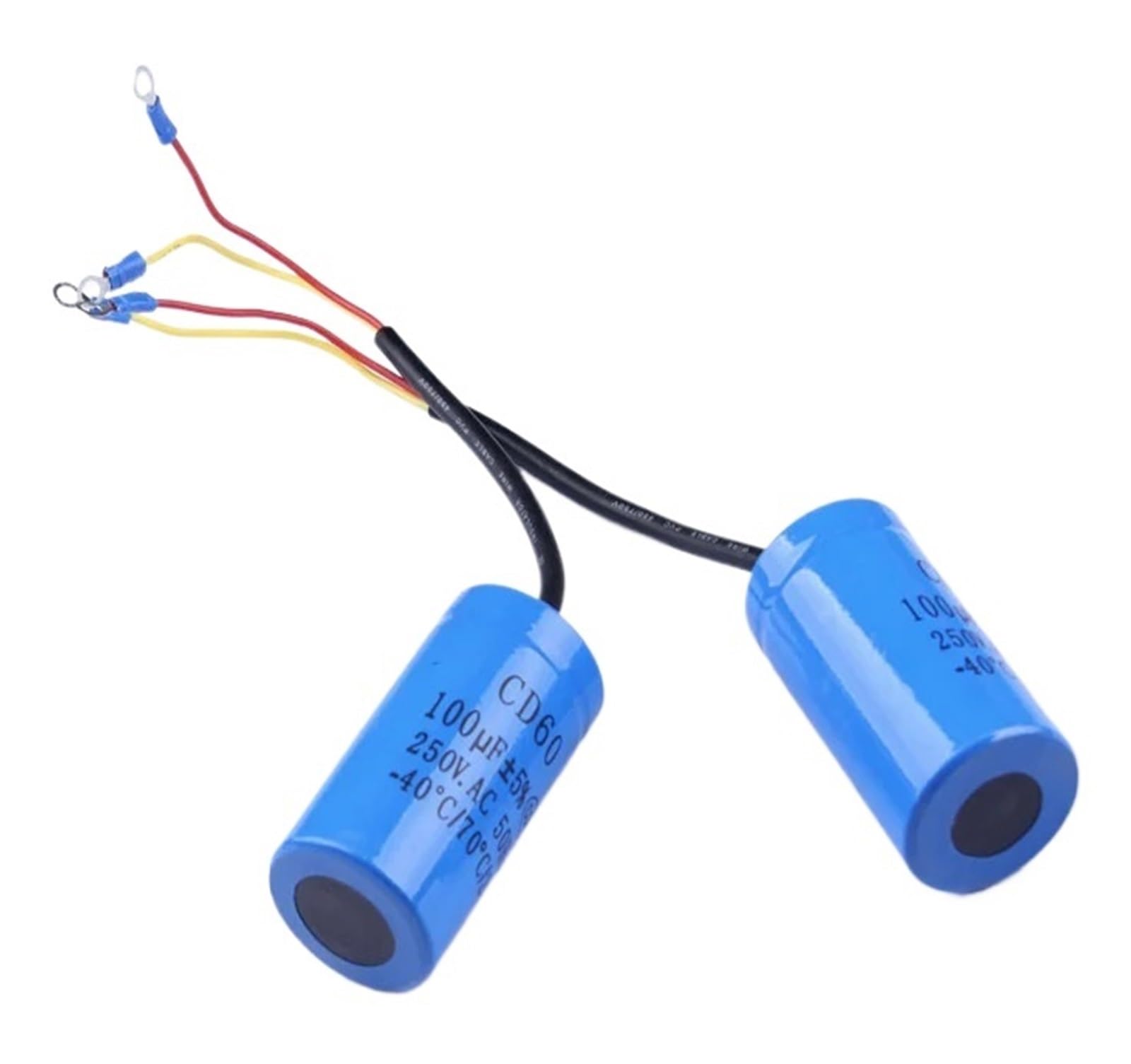 LEOTNNDQ 1pcs CD60 100UF 250V AC Starting Capacitor