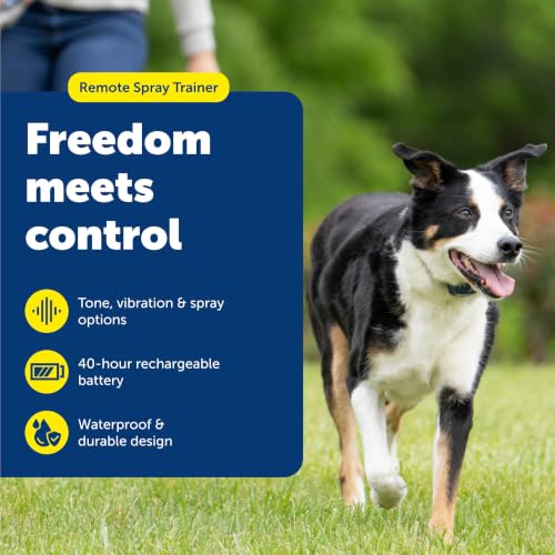 PetSafe Remote Spray Trainer Collar, Tone/Vibration/Spray, 300 Yd - image 2