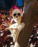 Crazy Bonez Skeleton Tree Peeker Outdoor Decoration