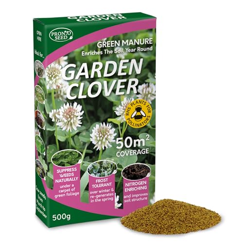 Pronto Seed White Clover Seeds 500g - Ground Cover & Green Manure