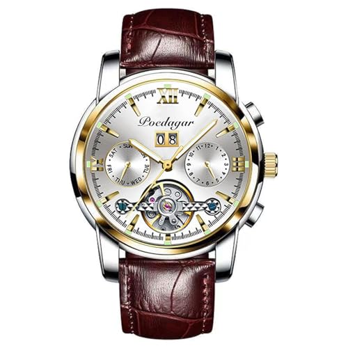 RORIOS Relojes Hombre Relojes Mecánico Automático con Correa en Cuero Luminoso Moda Relojes Impermeables Reloj de Pulsera para Hombre