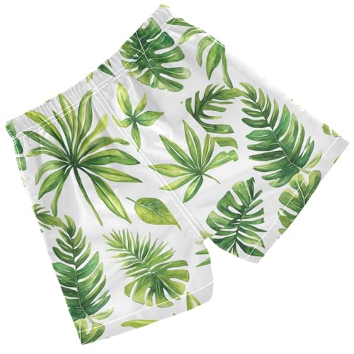 Pigsaly Boys' Swim Board Shorts Watercolor Palm Leaves Boy's Swim Trunks Kids Swimwear 2T2