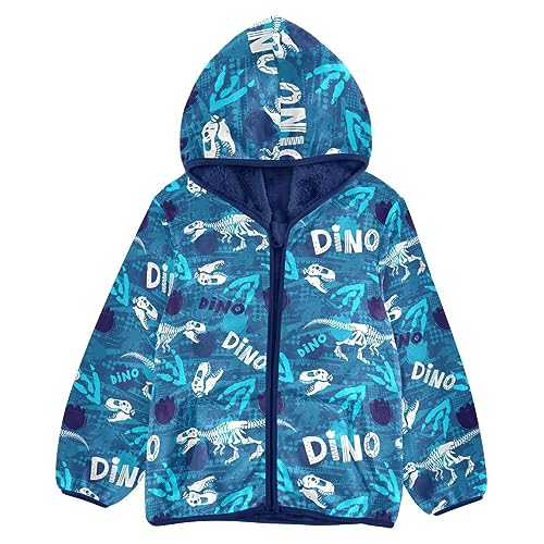 Dinosaur Boys Fleece Hoody Jacket Zip Up Coat Warm Fall Winter Plush Jacket Long Sleeve Outerwear
