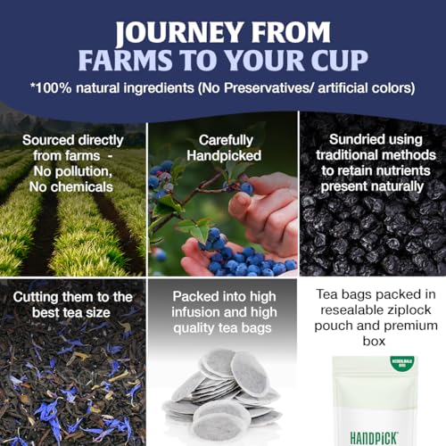 Image of HANDPICK Blueberry Fruit Tea(100 Teabags)Fruity, Floral & Refreshing Flavor