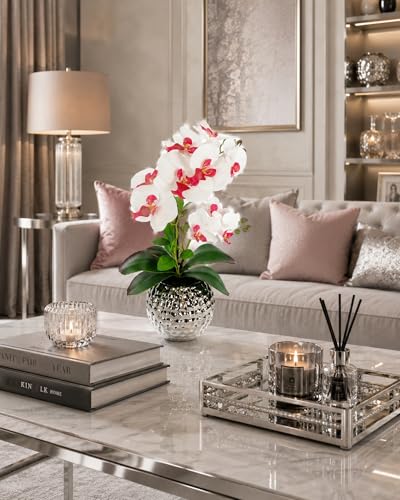 Phalaenopsis comme de véritables branches d'orchidées sans entretien - 5