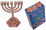 Holy Land Market Jewish Candle Sticks Menorah - 7 Branches - 12 Tribes of Israel Menorah (Copper with Candles, 5 Inches)