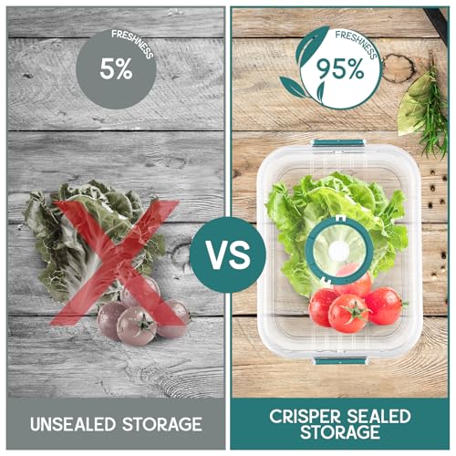 GIOVARA Sealed breads Box Plastic 3 Breads Storage containers, containers Air Tight Bread Box, Bread container to keep it fresh, breads Bins For Kitchen for Pastry, Cookie, Fruit, meat, Veggie - Image 7