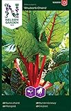 Mangold Samen Rhubarb Chard - Nelson Garden Gemüse Saatgut - Gartensamen Mangold (150 Stück) (Mangold, Einzelpackung)