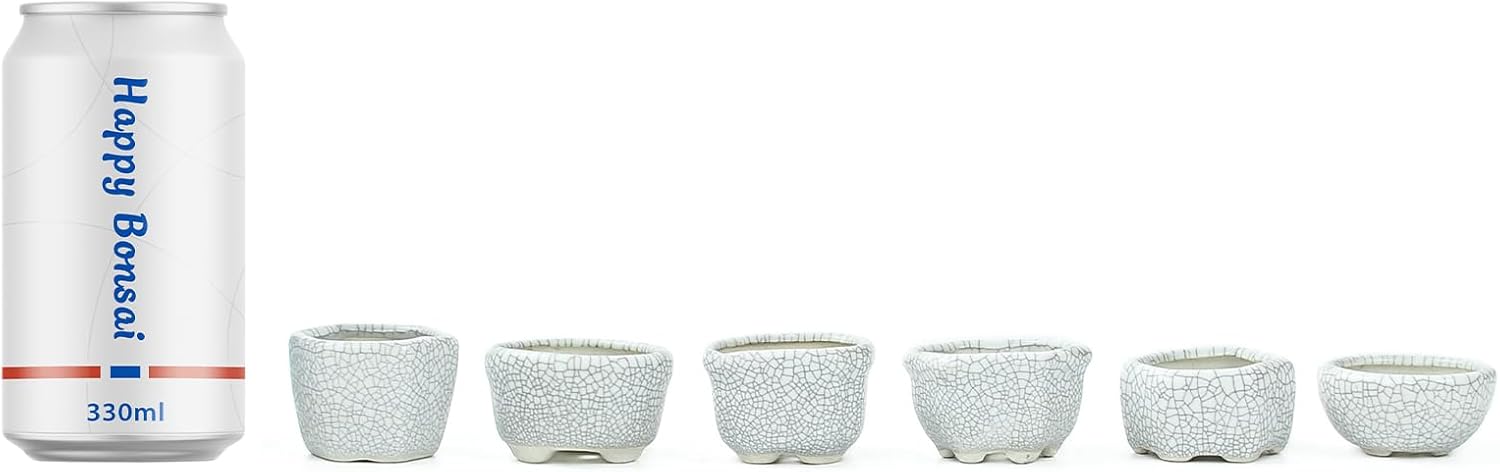 Bonsai Planter 1.8 inch (4.5cm) Mini Succulent Glazed Pots Set of 18 Gray White
