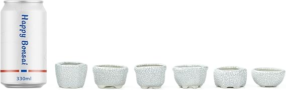 Bonsai Planter 1.8 inch (4.5cm) Mini Succulent Glazed Pots Set of 12 Gray White