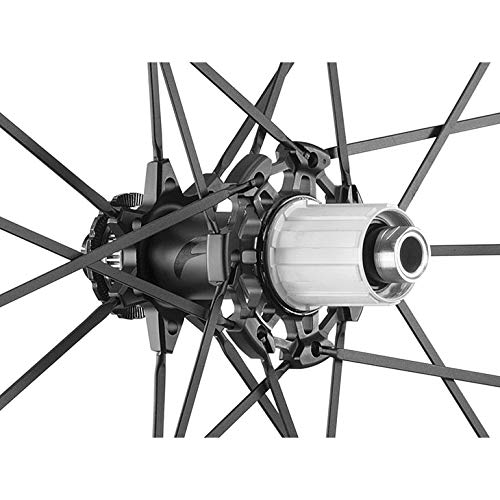 Amazon | fulcrum フルクラム Racing ZERO CARBON CMPTZN DB
