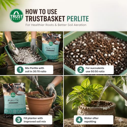 Image of TrustBasket Perlite for Plants Soil 450gm (Set of 4) | Additive Horticultural Grade - for Indoor, Outdoor Plants and Hydroponics