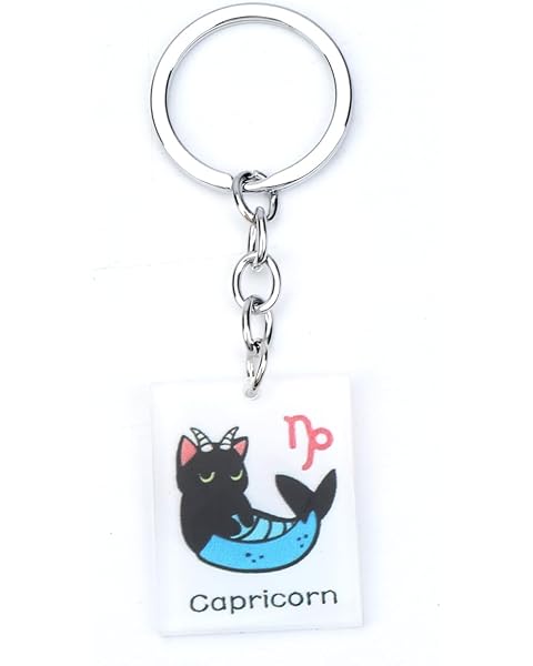 12 Zodiac Signs Black Cat Keychain,Acrylic Funny Cat Keychain for Women,Birthday Gi...