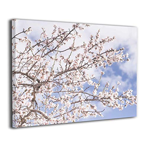 Tour Edge Hot Launch E525 7 Iron 27.5* (Steel True Temper MPH 95 Regular, Left) 2025