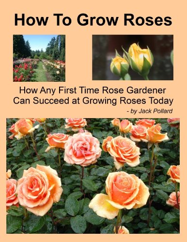 How To Grow Roses