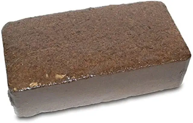 biOrb AIR Terrarium Kokosfaser-Kompost - Steriler Pflanzboden für biOrb AIR 60