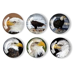 12pcs glass refrigerator magnets fridge magnets decoration for classroom locker office whiteboards cabinet dishwasher and magnetic surfaces eagle  urban country home decor