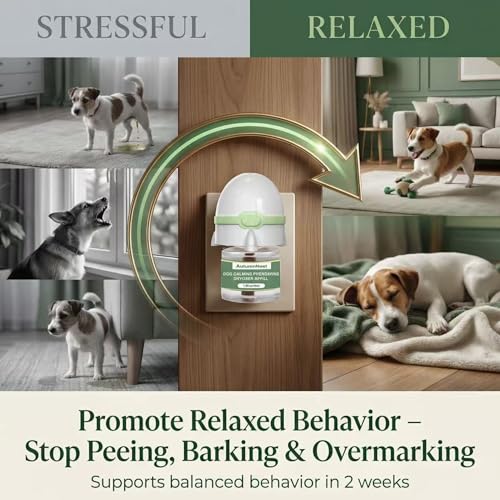 Image of 8-in-1 Dog Calming Pheromone Diffuser Kit - Pet Stress Support (2 Plug-Ins & 6x48ml Refills), Calming Diffuser for Dog During Thunderstorms, Travel, Separation, Fireworks & Vet Visits, 180-Day Supply