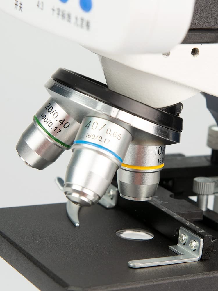 Kit di accessori per microscopio Professionale 2000X Composto digitale biologico, Microscopio LED Laboratorio scolastico con linea di misurazione dello schermo Vetrini per microscopio
