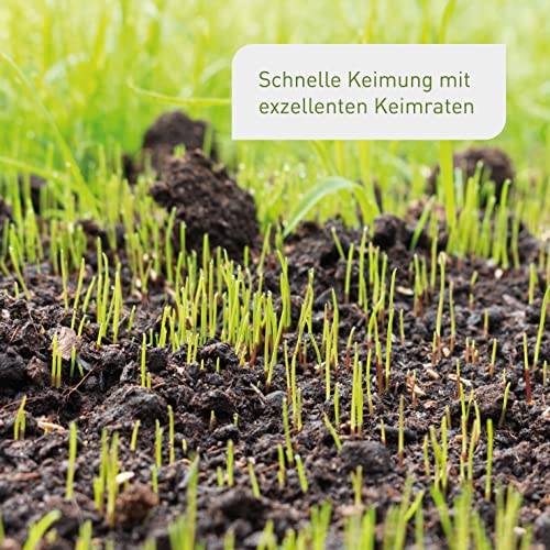 Foto von Plantura Schattenrasen, 2 kg, Rasensamen für Schatten, Premium-Saatgut