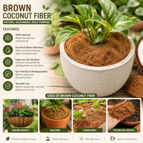 Image of Myla Organics (500 GRAM) Natural Coconut Fiber (Coco Fibre) for Plants & Bird Nest | Coir Fiber for Gardening & Bird Nesting Material | Organic, Chemical-Free, Eco-Friendly- (Pack of 500 gram)