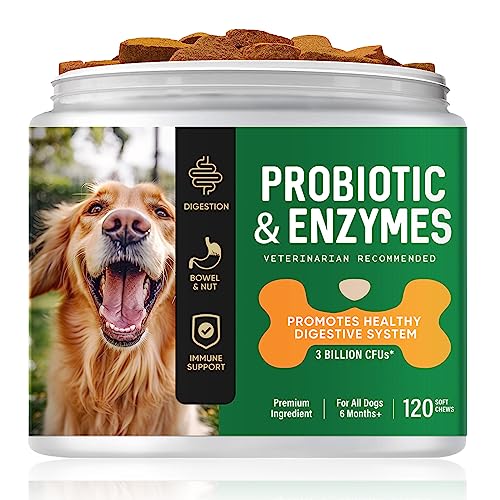 Top 10 Dog Probiotics That Will Give Your Furry Friend a Healthy Gut in