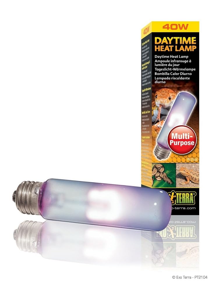 View 3