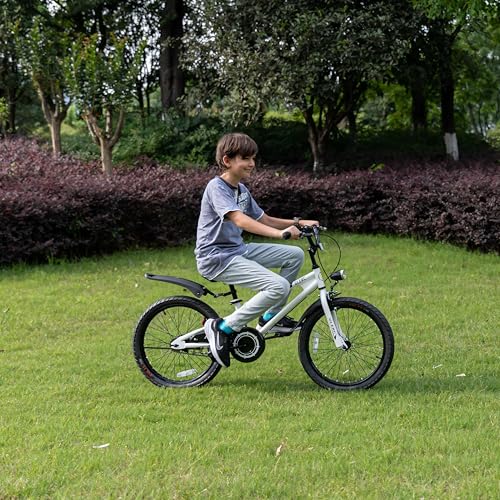 Glerc Fantacy 20 Inch Kids Bike
