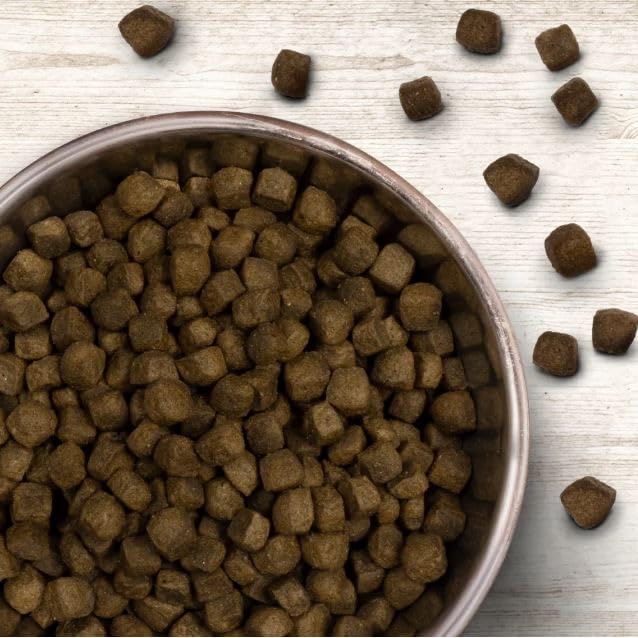 Wildborn Silver Creek 1 x 12 kg | Hundetrockenfutter mit frischem Ziegenfleisch | 77% tierisches Protein