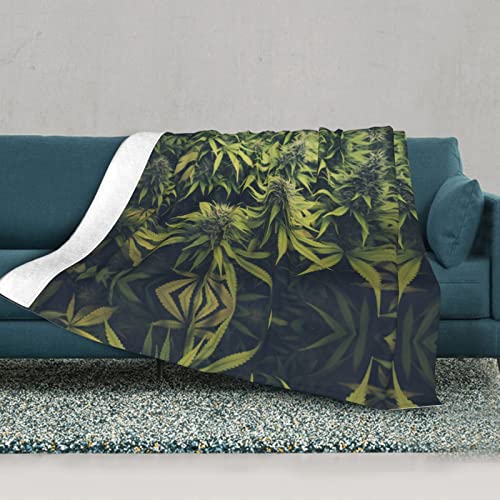 Couverture en peluche douce pour camping, voyage et canapé - 3