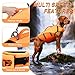VIVAGLORY Sports Style Hundeschwimmweste, Rettungswesten Für Hunde Bootfahren, Auftrieb & Schwimmhilfe, Schwimmweste, M, Dunkelorange