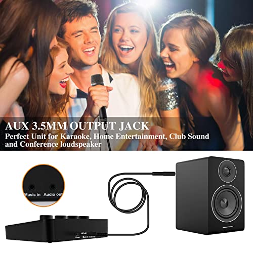 Inncen Karaoke Mixer System mit Mikrofon, 4 schaltbare Reverb-Effekte und 2 Mikrofonausgänge für Karaoke, Heimkino… - Image 3