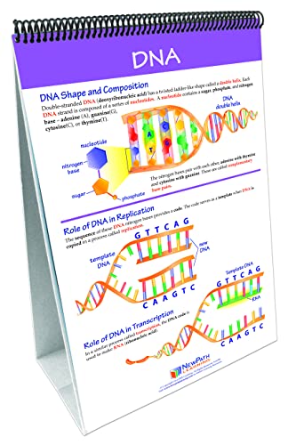 Image of NewPath Learning 74-6727 Chromosomes, Genes and DNA Curriculum Learning Module
