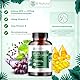 OPC Traubenkernextrakt – 180 Kapseln hochdosiert 40% OPC – 95% Polyphenole - VinoSeed™ Markenrohstoff aus original französischen Weintrauben & zusätzlich Vitamin C + Vitamin E - Vegan