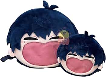 51i1KtSCOiL._AC_UF350,