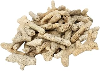 VILLCASE Coral Pequeno Natural Para Decoração De Tanque De Peixes Ornamento De Coral De Rocha De Aquário De 500G Para Decoração De Tanque De Peixes Ou Ornamento De Quarto (Aleatória)