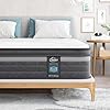 Teqsli twin mattress 12 inch gel memory foam hybrid mattress twin size pocket springs mattress with motion isolation pain relief medium firm support certipur us  urban country home decor