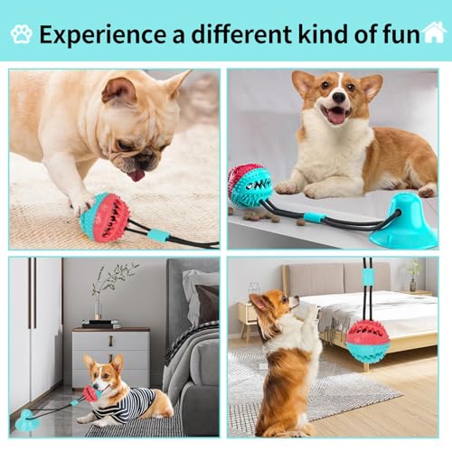 ZERRSAUGNAPF - Hundespielzeug Zerrspielzeug für Hund inkl. Zahnpflege, Hundespielzeug mit Saugnapf & Leckerli-Spender, Selbstbeschäftigung Hund, Für Kleine & Mittelgroße Hunde und Welpen (1PC,STIL-A)