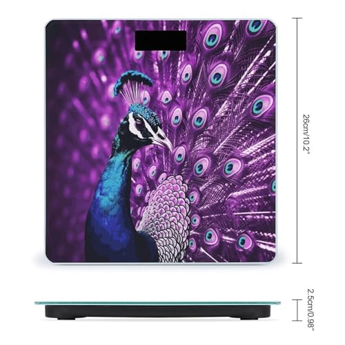 Báscula Digital de Baño FekiLoot con Plataforma Amplia miniatura 2
