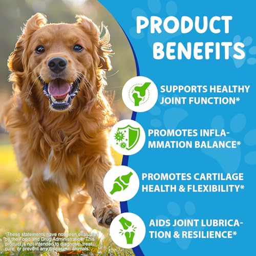 Gelenk- & Knochenschutz für Hunde, 100 % Natürliche, Unterstützt Beweglichkeit und Flexibilität, Ergänzungsmittel für Hüften und Gelenke für Hunde, Mit Speckgeschmack, 60ml