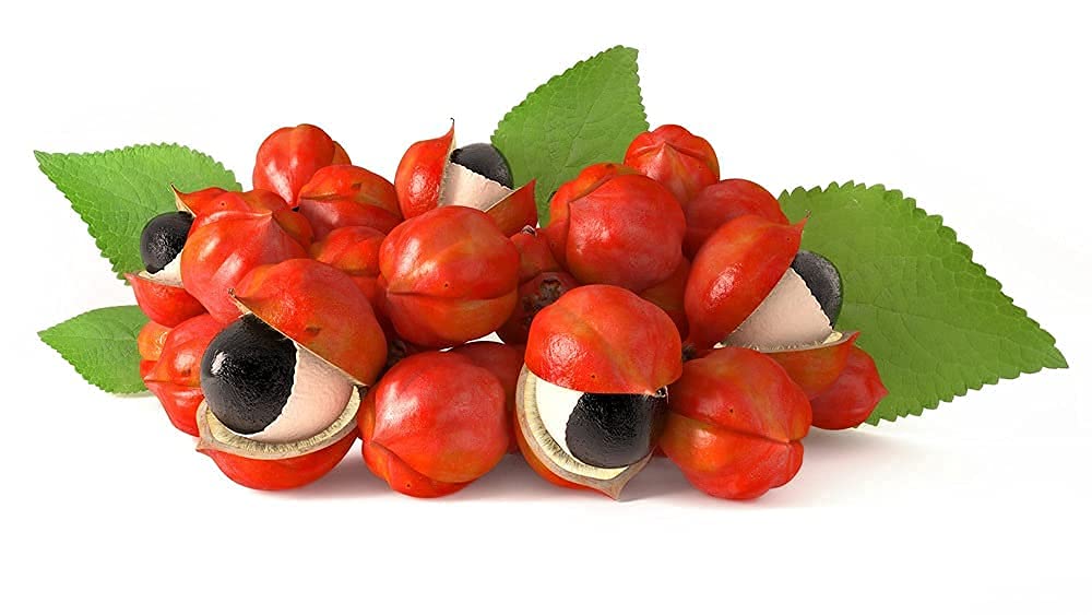 • Guarana Pulver aus Wildwuchs • 1000g schonend getrocknet • Rohkostqualität • 100% naturbelassen • Hochwertiges Superfood aus dem Amazonasgebiet • Direkt vom Importeur
