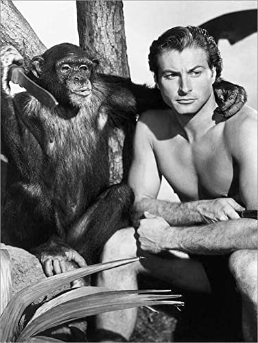 Posterlounge Lex Barker als Tarzan und Schimpanse Cheeta Leinwandbild Wandbilder für jeden Raum 100 x 130 cm Schwarz-Weiß Tiere Wanddeko Cover