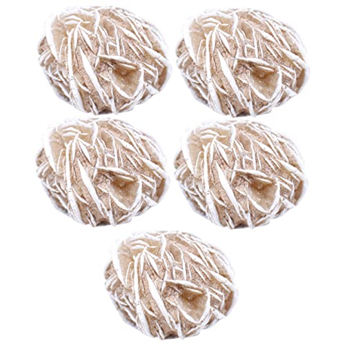 Healvian 5 ? fX bv sK Xg[ [jO Ƃ  